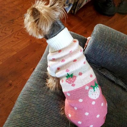 Pet Dog Sweaters Classic Knitwear Turtleneck Winter Warm Puppy Clothing Cute Strawberry and Heart Doggie Sweater